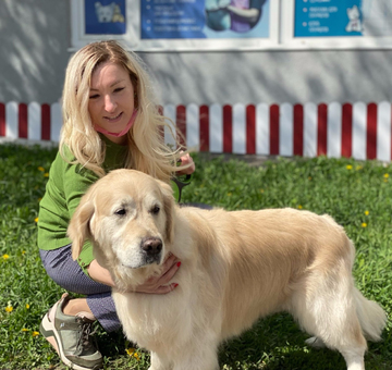 grooming-of-retriever