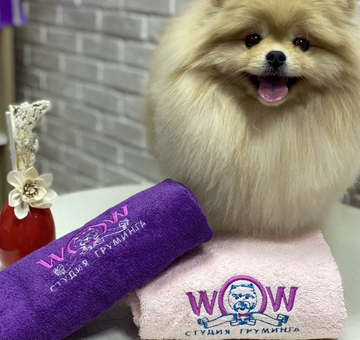 grooming-salon-wow