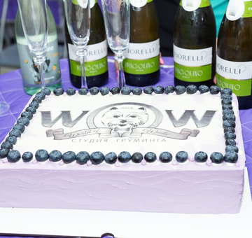 grooming-studio-wow