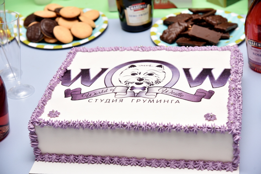 День народження Студії Грумінгу WOW™